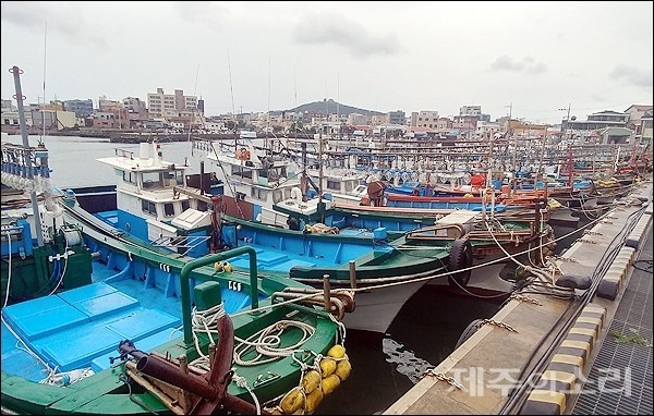▲ 제13호 태풍 링링이 북상하면서 서귀포시 대정읍 포구에 어선들이 정박해 있다.
