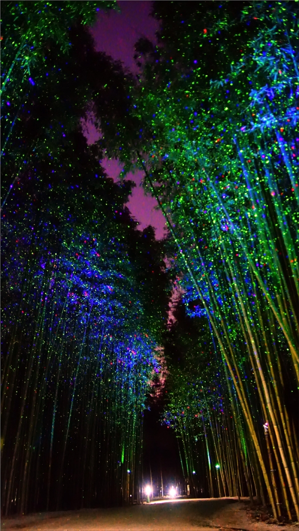▲ 십리대숲 은하수길은 밤하늘을 수놓은 별빛을 닮은 조명으로 대숲 산책길을 조성해 낭만적인 가을밤을 연출할 계획이다.