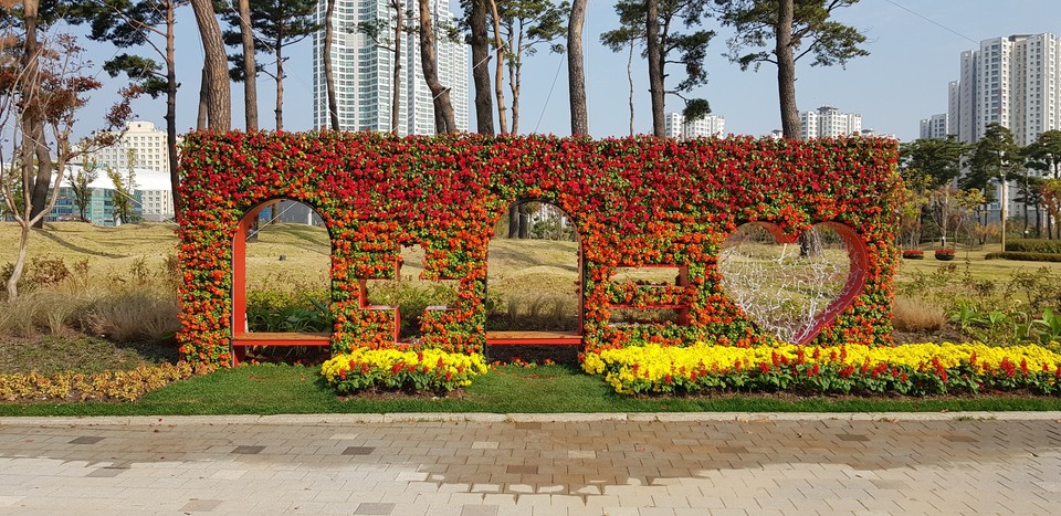 ▲ 청라국제도시 청라호수공원 음악분수 광장 녹지대 사랑의 꽃벽